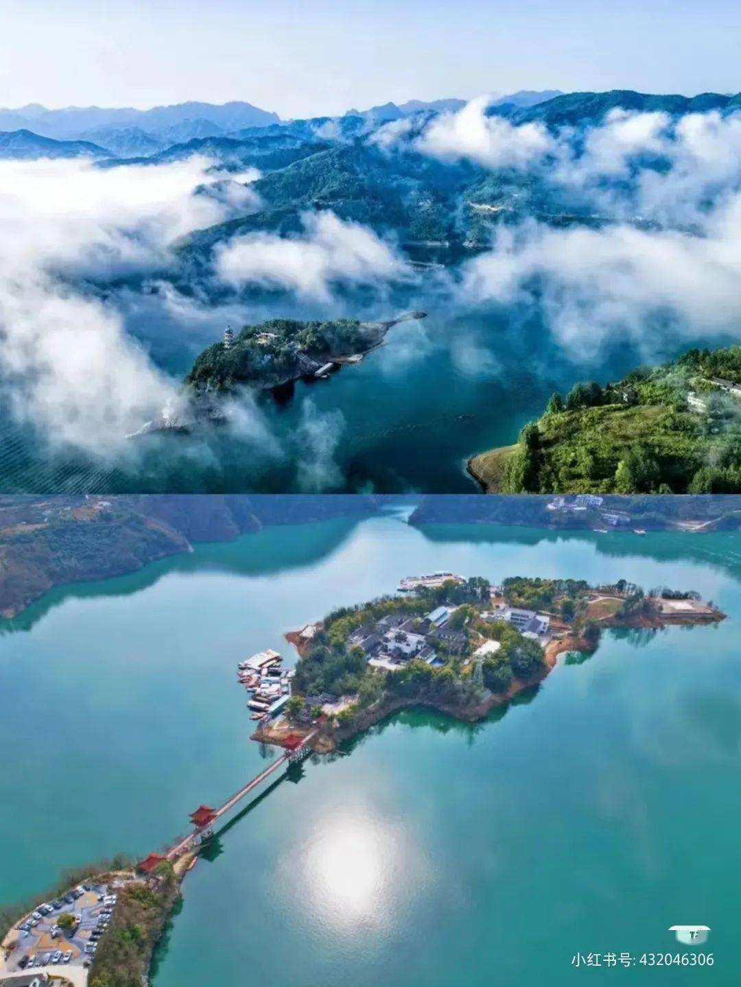 安康富硒茶翠峰