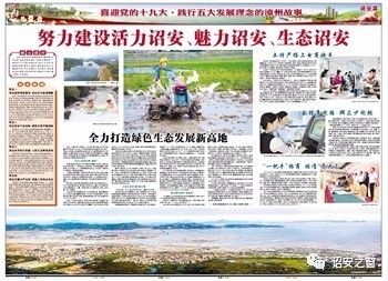 公田富硒生态茶