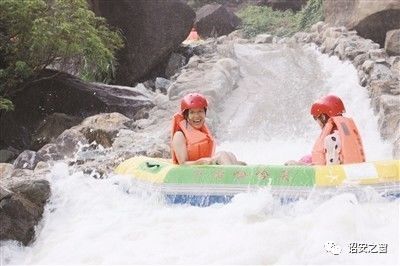 公田富硒生态茶