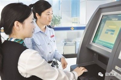 公田富硒生态茶