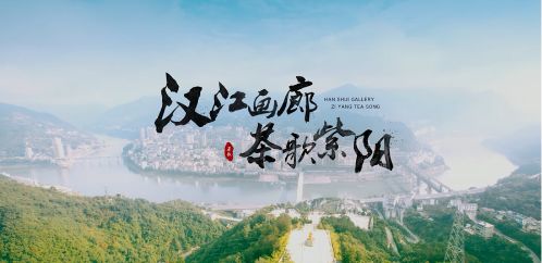 紫阳翠峰富硒茶
