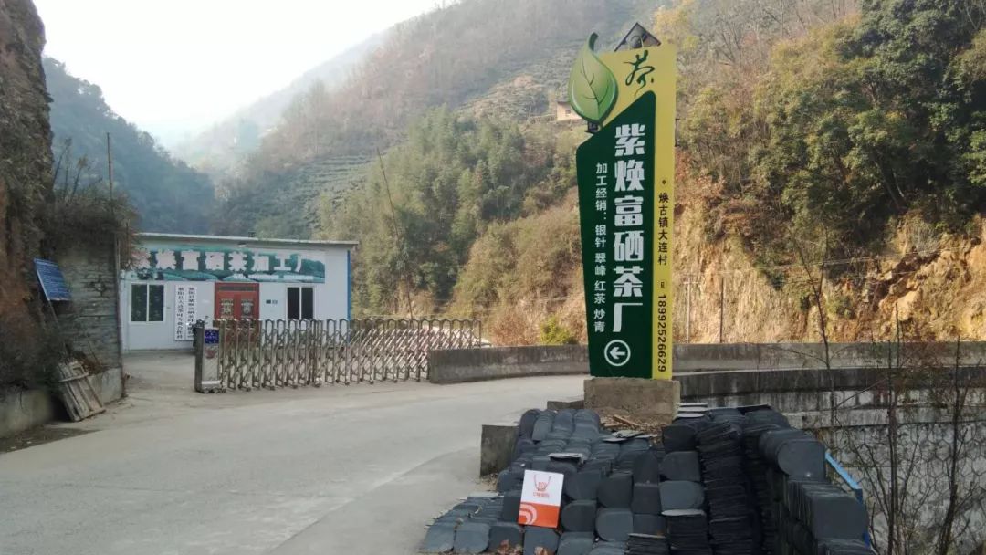 焕古镇牌富硒茶