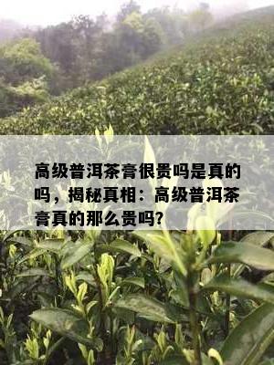 高级普洱茶膏很贵吗是真的吗，揭秘真相：高级普洱茶膏真的那么贵吗？