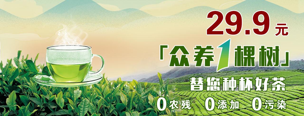 富硒茶定价标准