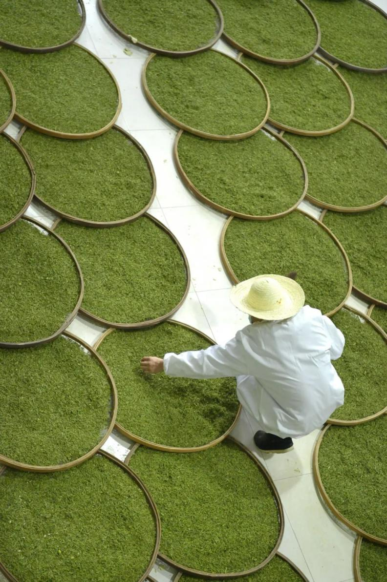 富硒茶定价标准