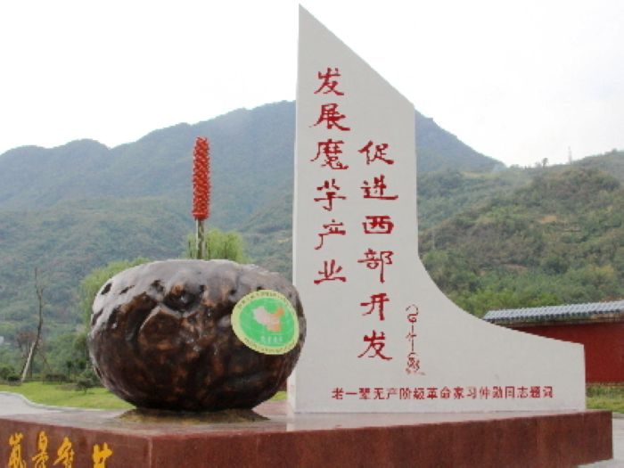 安康生态富硒茶