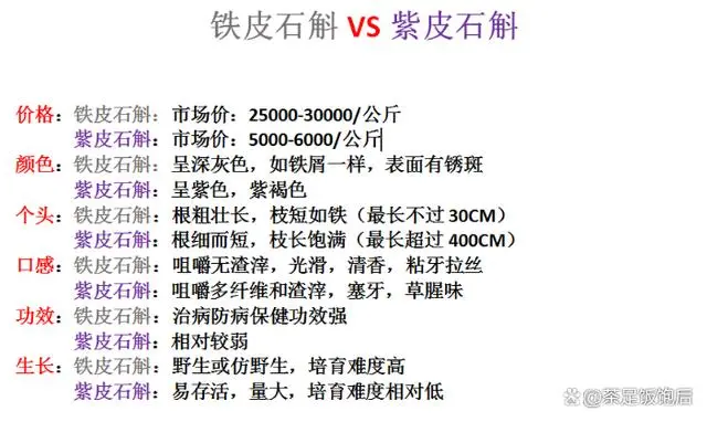富硒紫皮石斛茶