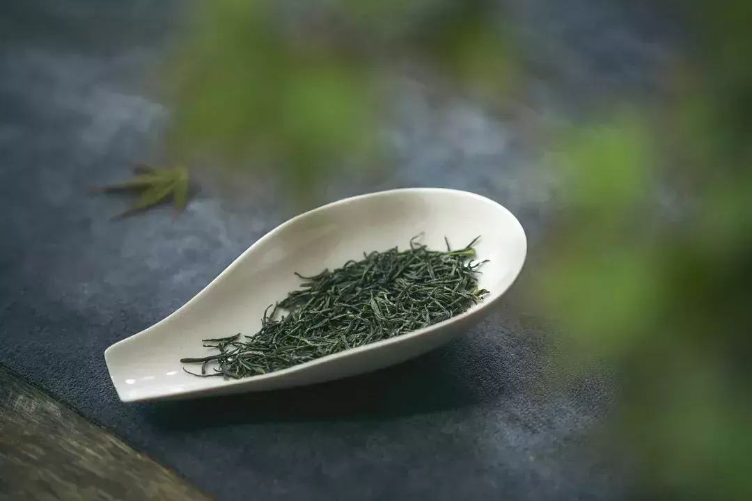 明前富硒茶报价