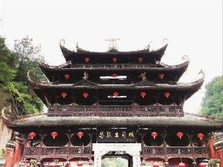 硒富汇天子藤茶