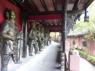 硒富汇天子藤茶