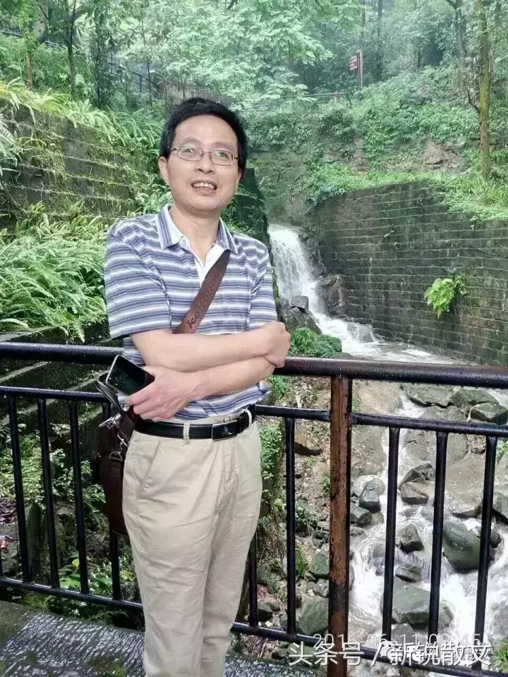 紫阳富硒明前茶