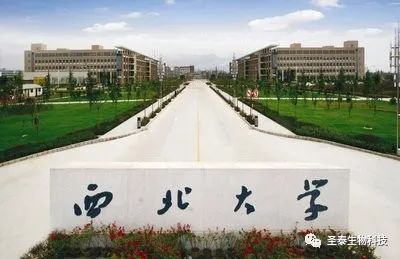 富硒茶有前景吗