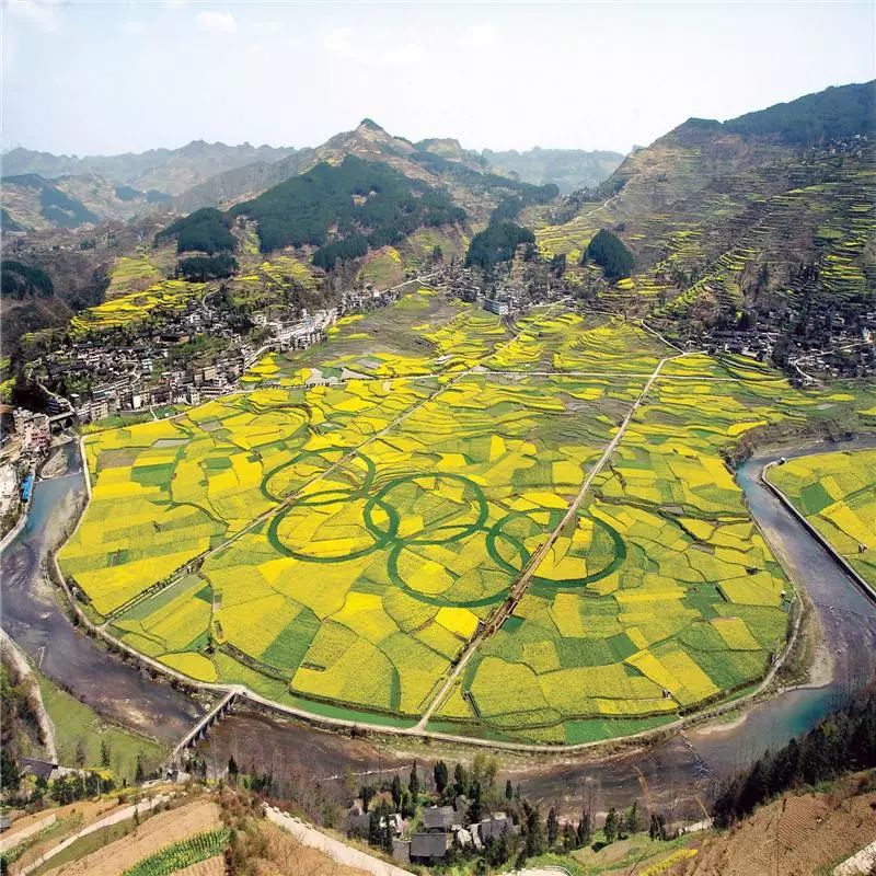 开阳高山富硒茶