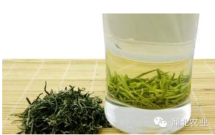 六雾恩施富硒茶
