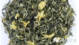 六雾恩施富硒茶