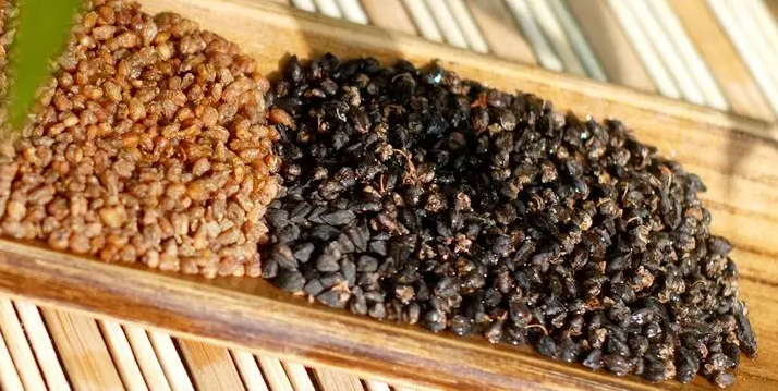 安康富硒荞子茶