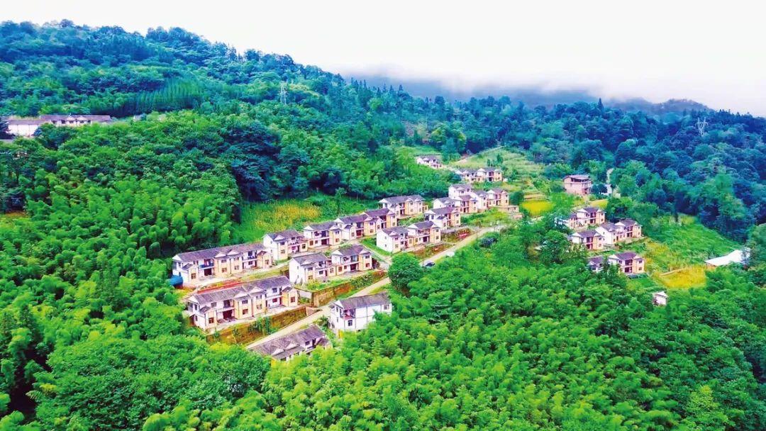 富硒茶扶贫众筹