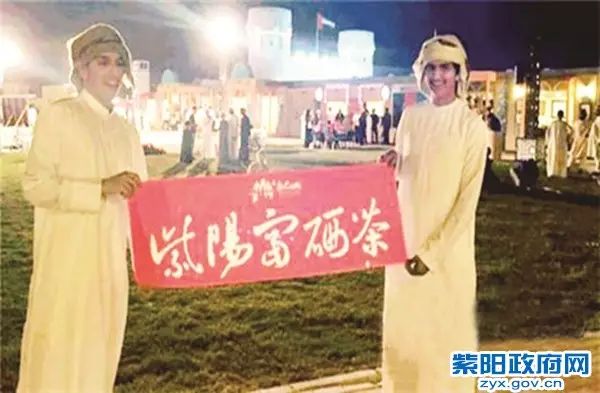 紫阳富硒茶大v