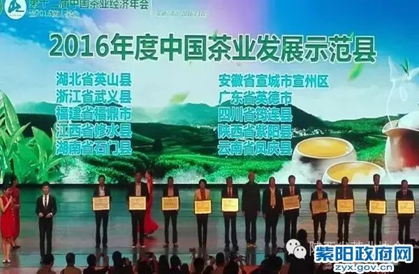 紫阳富硒茶大v