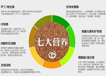 辽宁富硒荞子茶