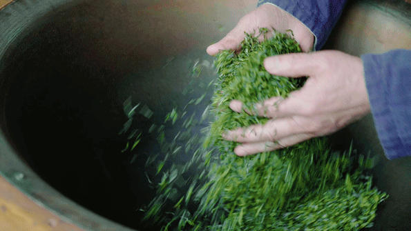 紫阳富硒茶中的