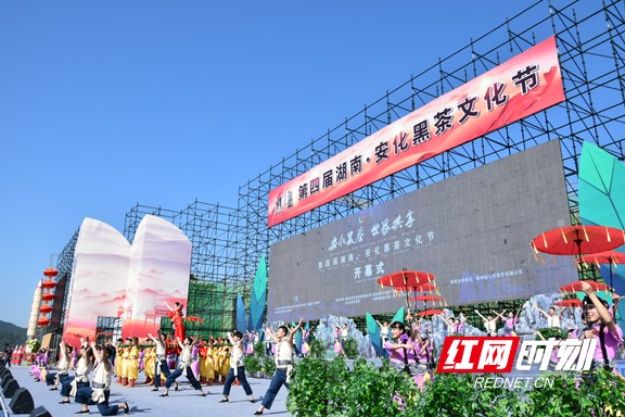 以茶会友富硒茶