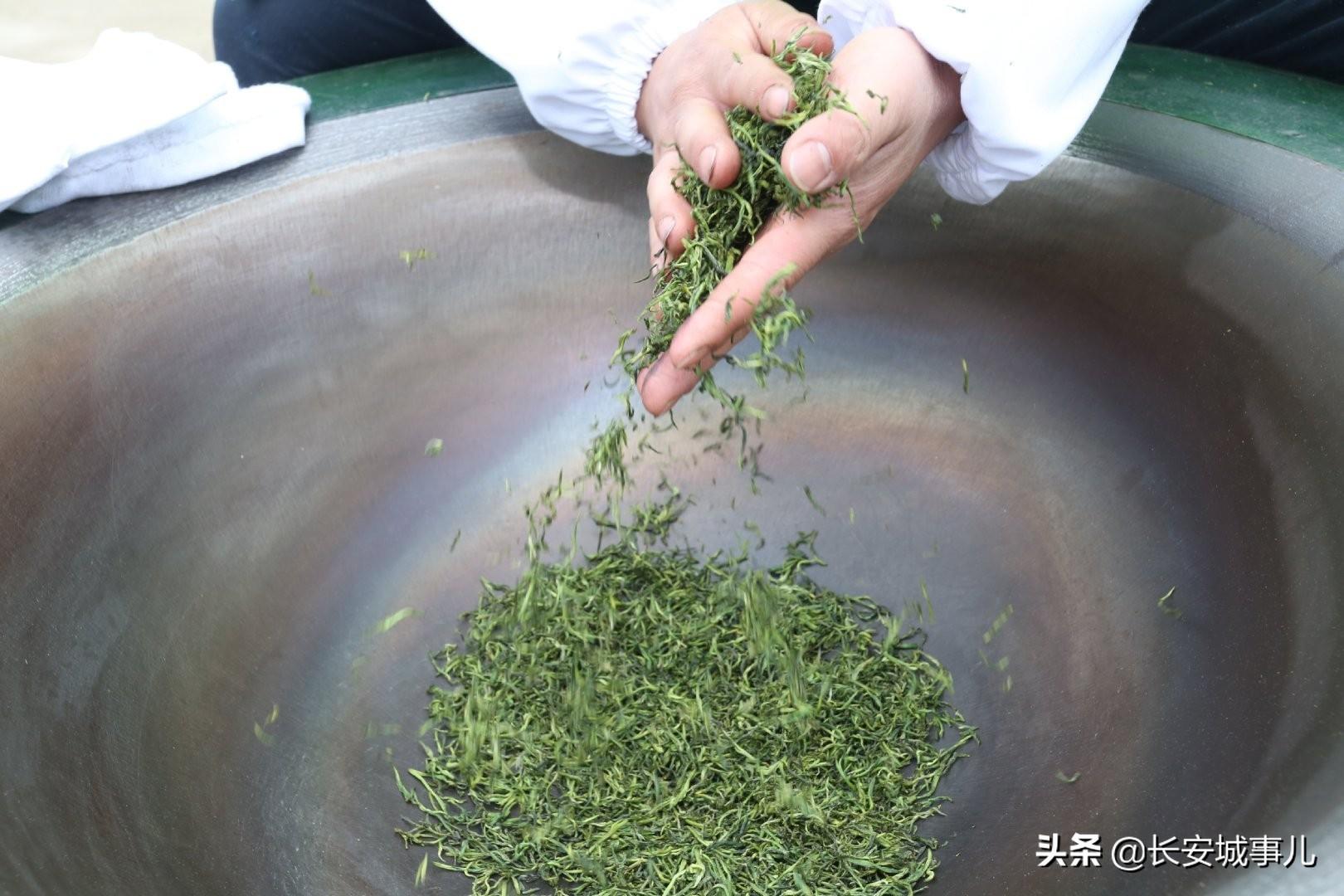 镇巴楮河富硒茶