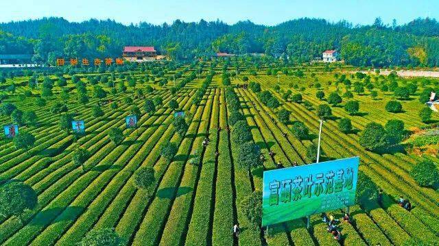 茶庵铺富硒小镇
