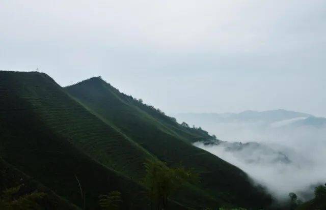 茶庵铺富硒小镇