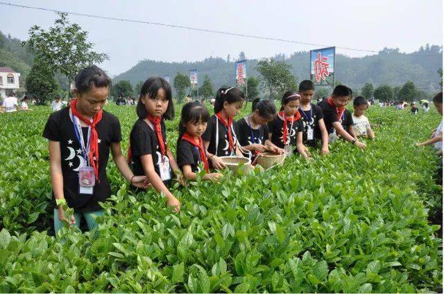 茶庵铺富硒小镇