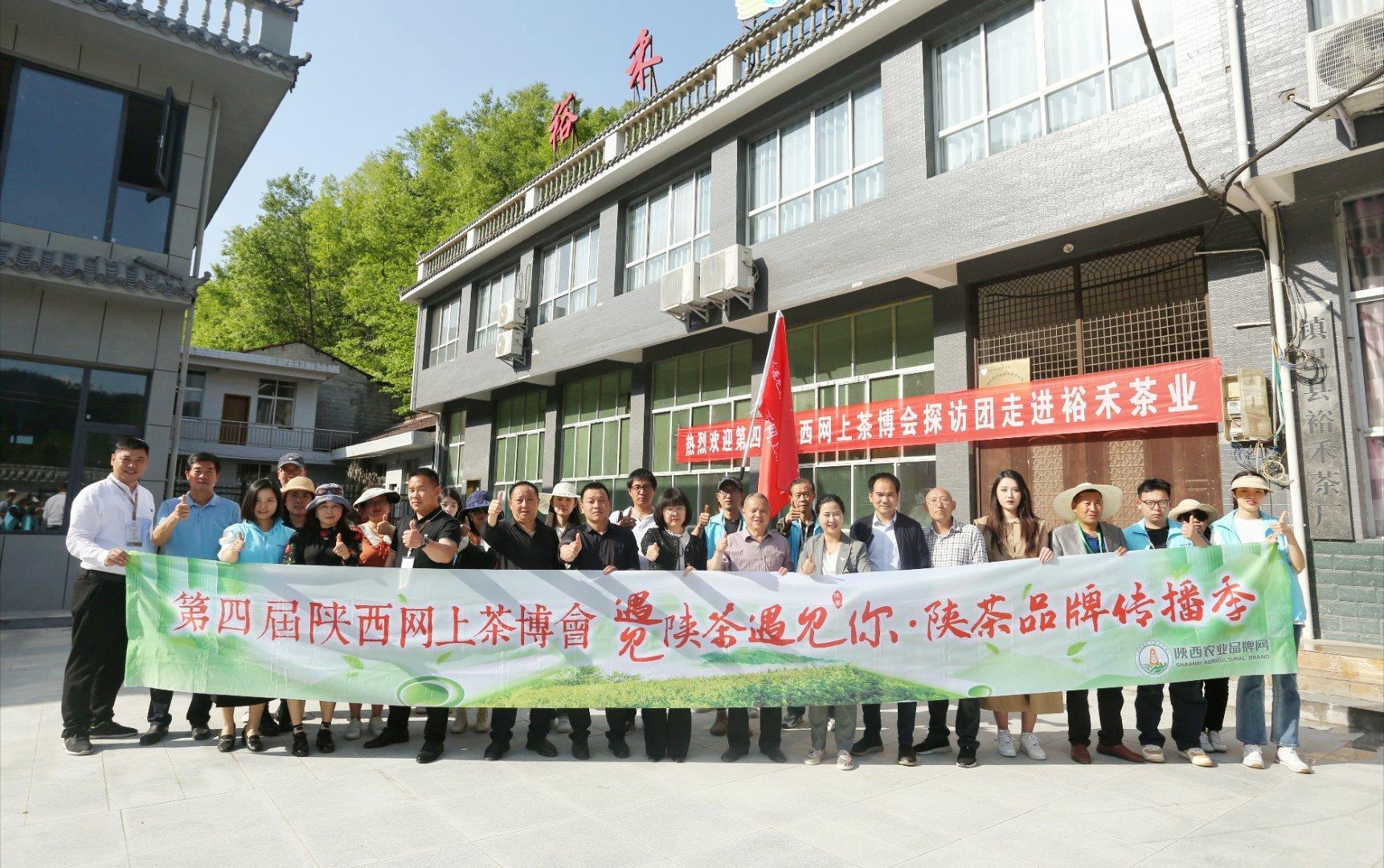 镇巴楮河富硒茶