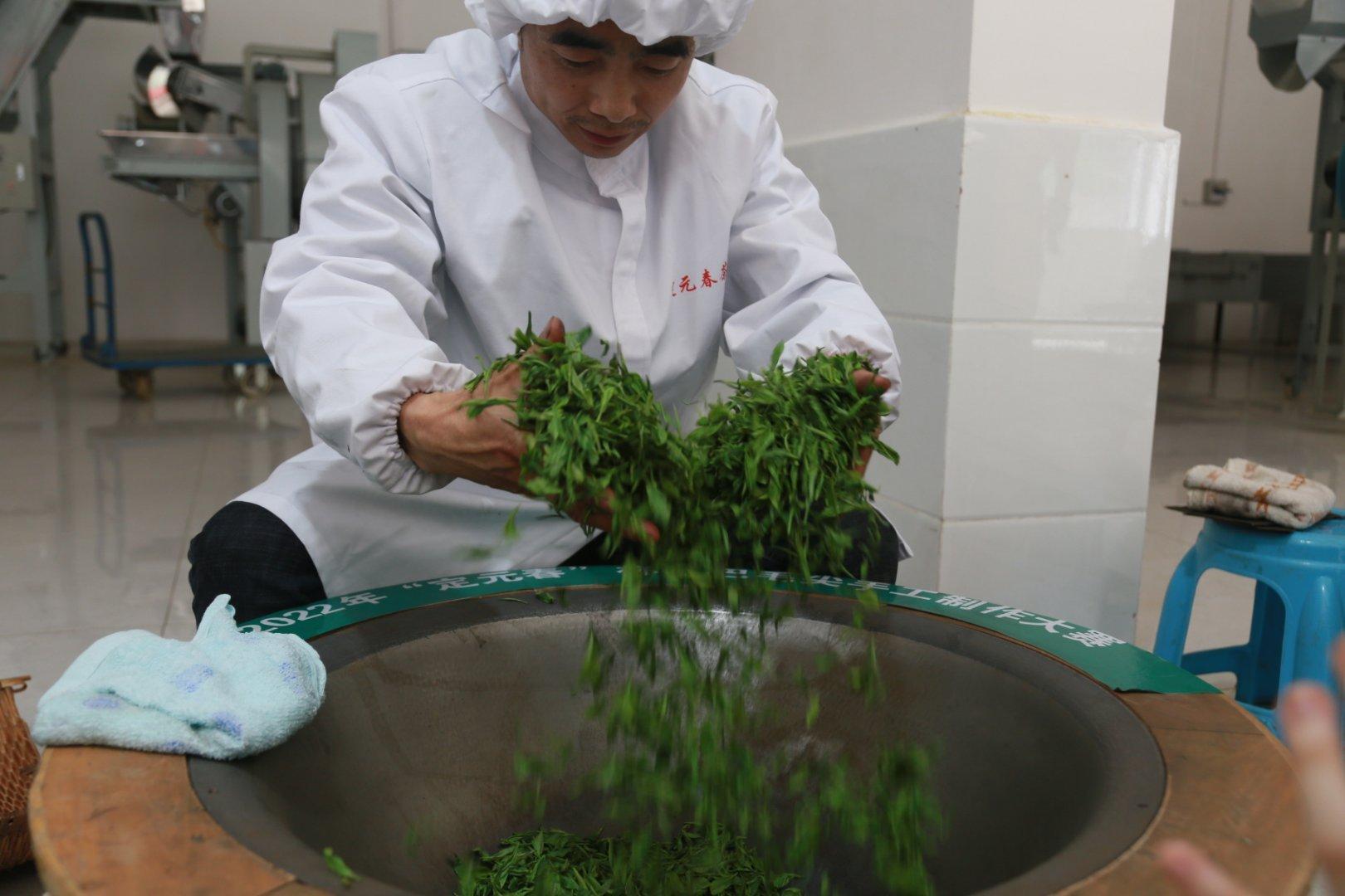 镇巴楮河富硒茶