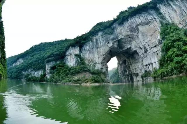 开阳高寨富硒茶