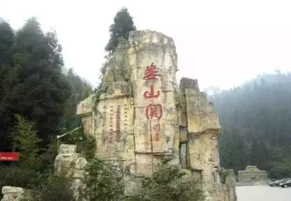 开阳高寨富硒茶