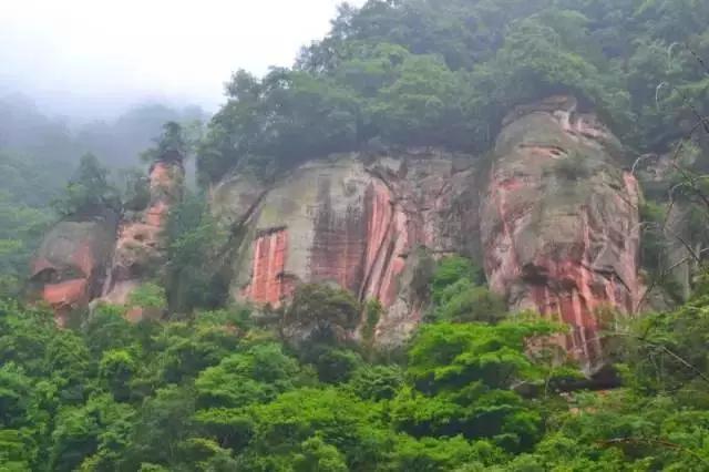 开阳高寨富硒茶