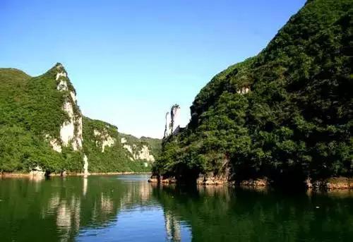 开阳高寨富硒茶