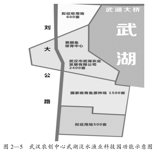 生物科技富硒茶