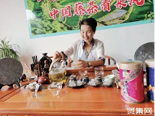 藤茶是什么茶，湖北来凤藤茶有哪些功效​