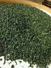 富硒白茶造福一方百姓