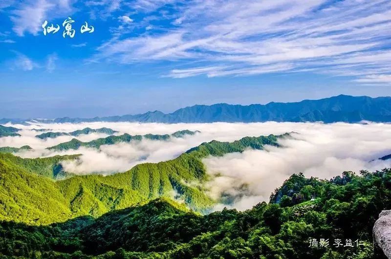 京康富硒茶陈华