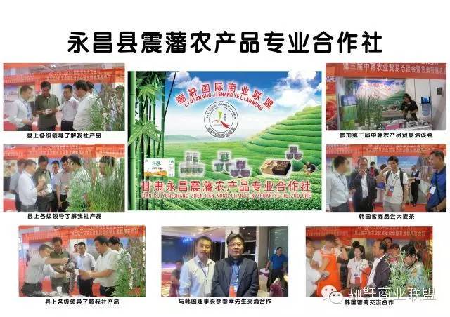 思域富硒大麦茶