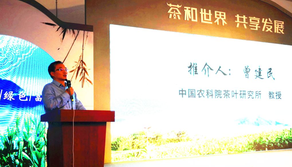 富硒茯茶宣传片