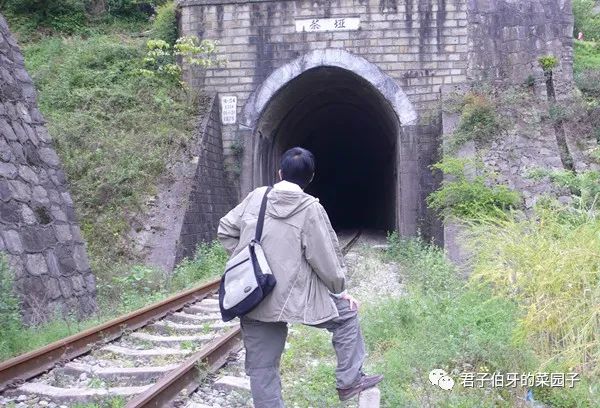 富硒茶能不能吃