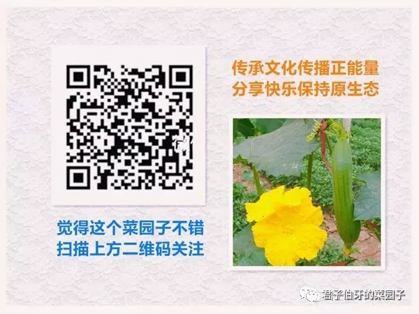 富硒茶能不能吃
