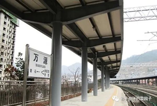 富硒茶能不能吃