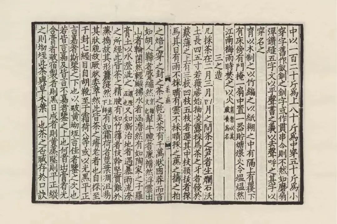 藤益生富硒藤茶