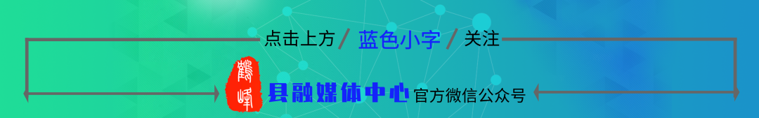 仙寅山富硒野茶