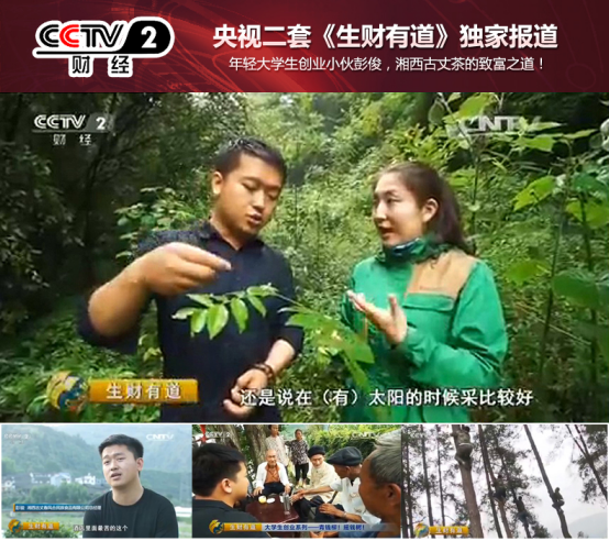 喝富硒青钱柳茶