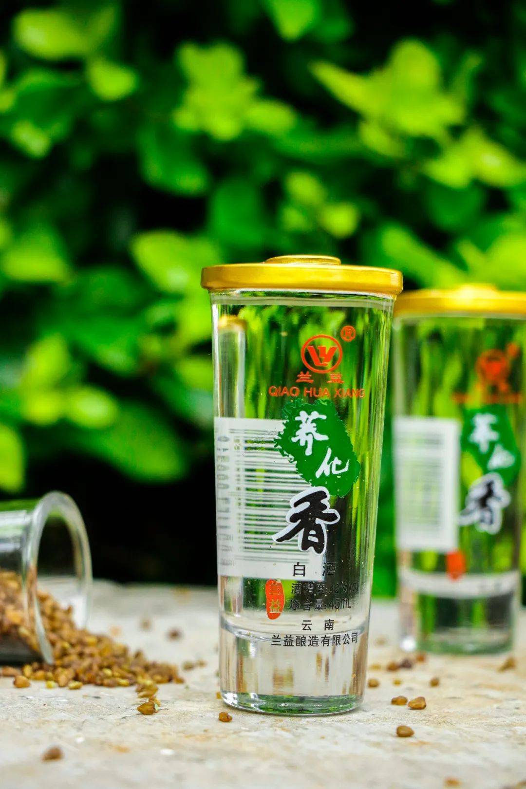 益紓堂富硒荞茶