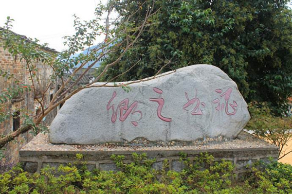 石台县富硒野茶